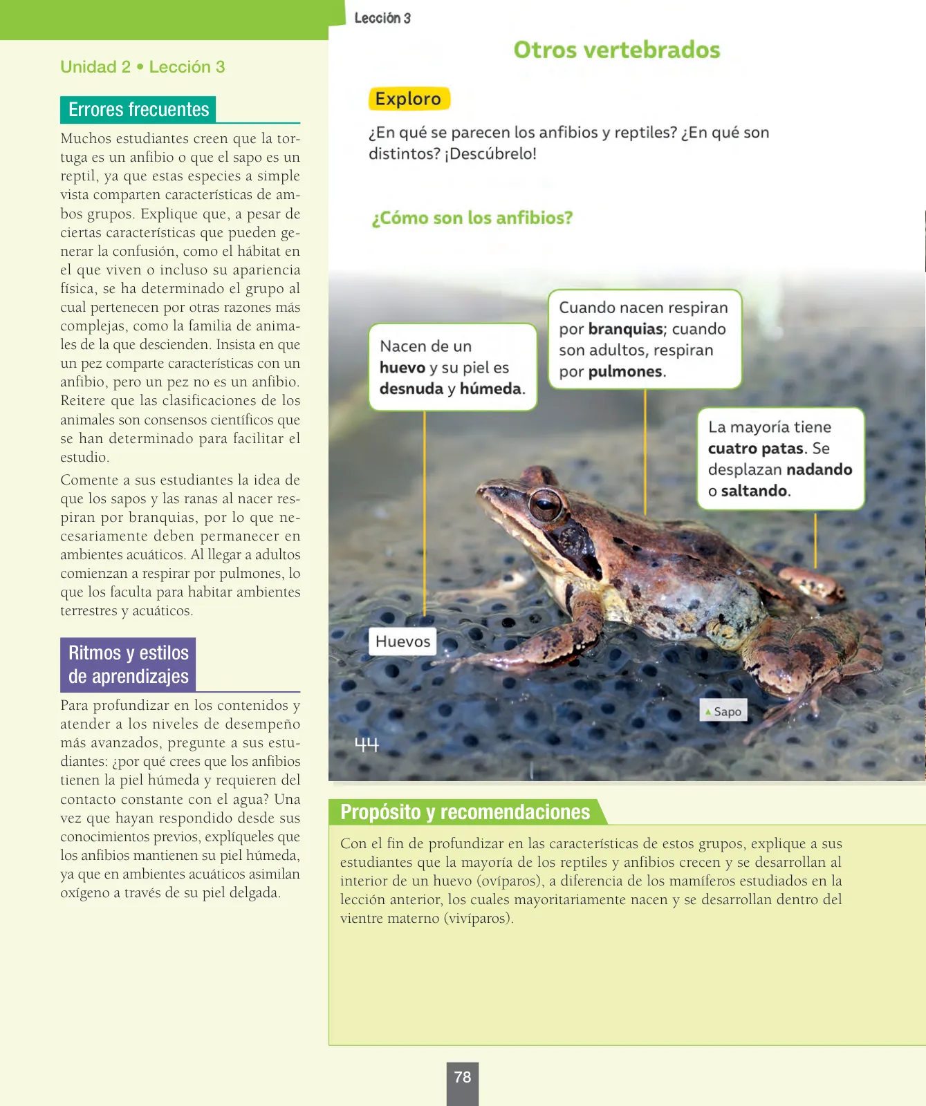 Pág 79