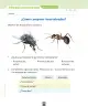 Miniatura página 115 de Ciencias Naturales – Segundo Básico | Texto del Estudiante MINEDUC – Descargar PDF · 2024