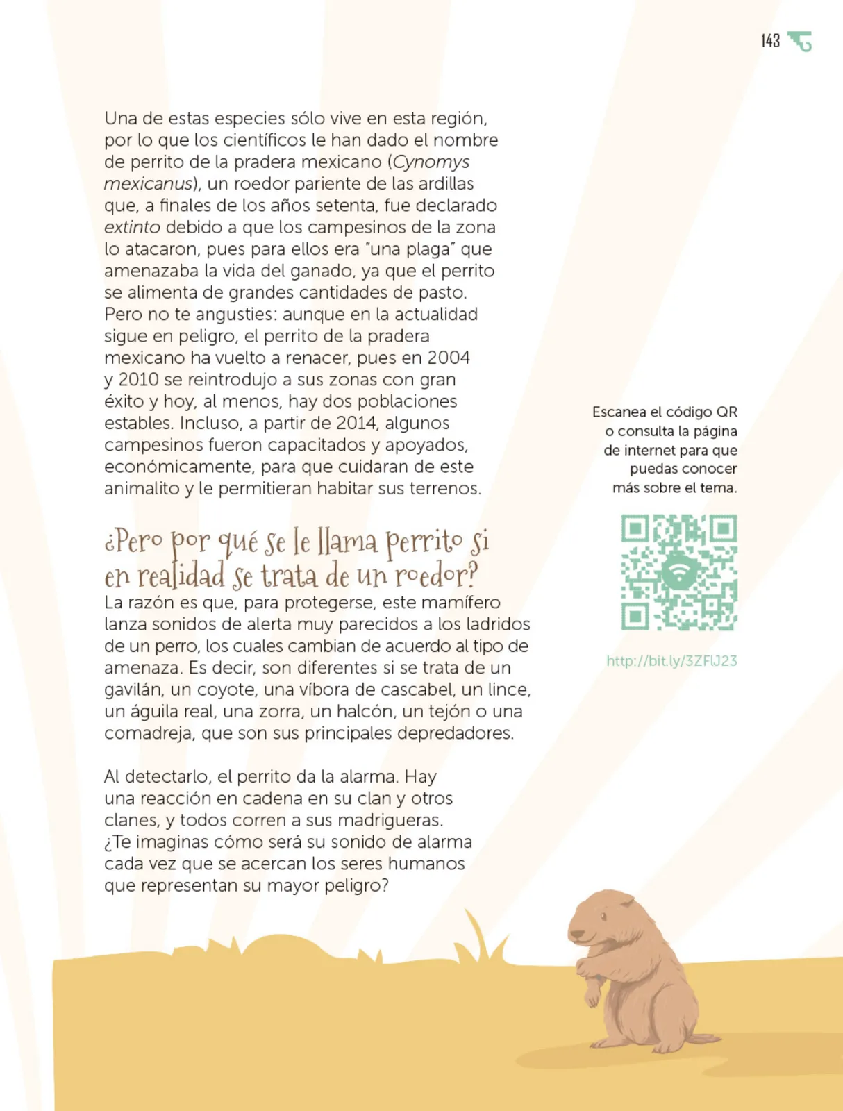Miniatura página 144 de Múltiples lenguajes.   Libro de Educación Primaria Grado 5°  Ciclo Escolar 2025 - 2026