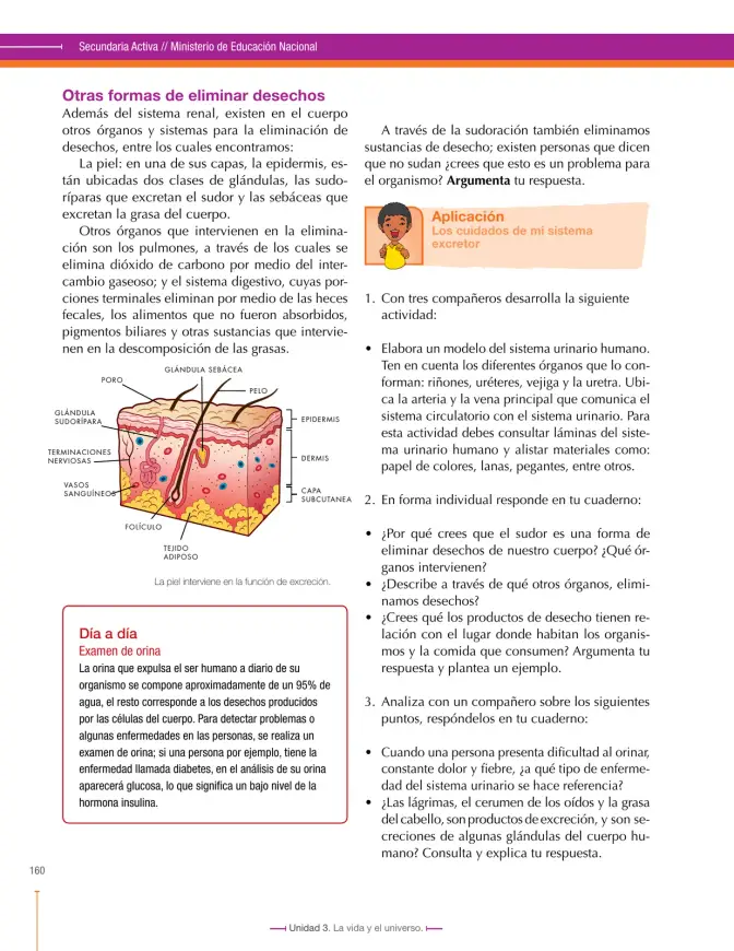 Página 160 de Ciencias Naturales 7° · Secundaria Activa
