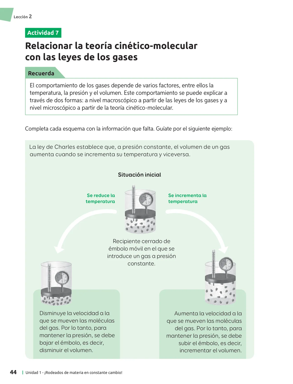 Miniatura página 45 de Ciencias Naturales – Séptimo Básico | Texto del Estudiante MINEDUC – Descargar PDF · 2024