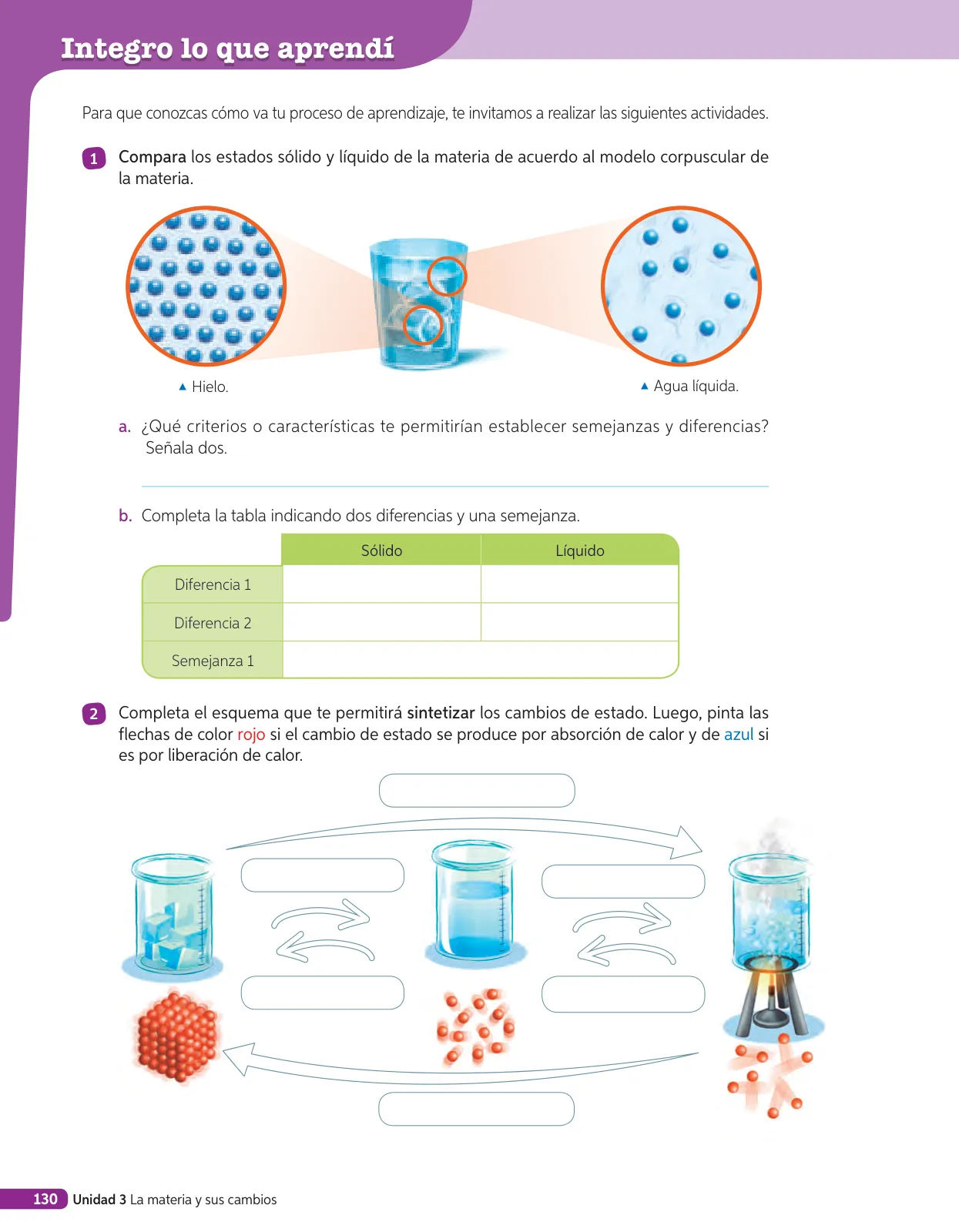 Página 293 de Libro de Ciencias Naturales – Quinto Básico | Texto del Estudiante MINEDUC – Descargar PDF · 2024