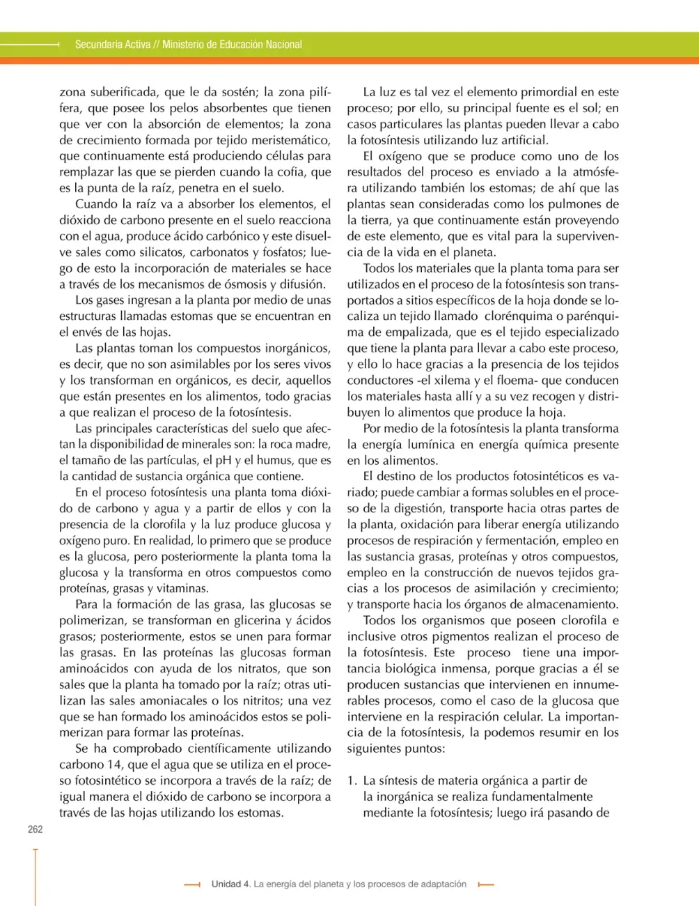 Página 262