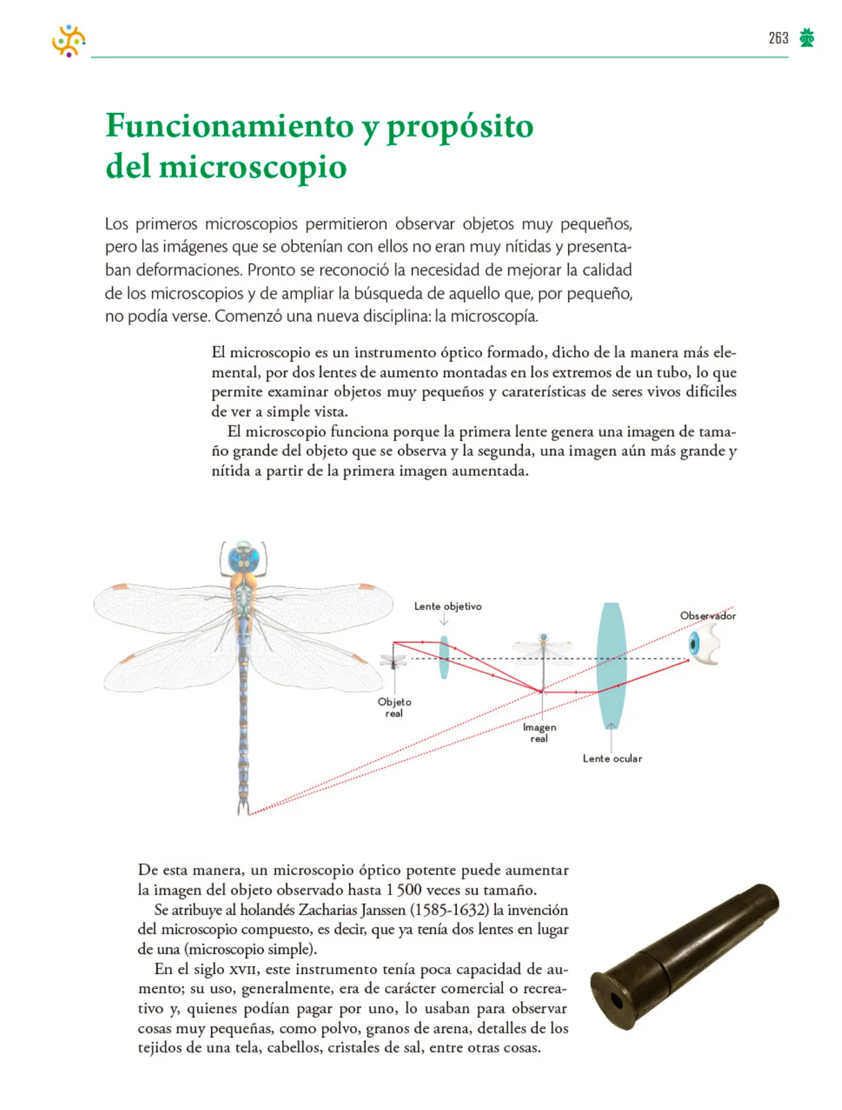 Página 264 de Colección Ximhai. Saberes y pensamiento científico. Libro de Educación Telesecundaria Grado 1° Ciclo Escolar 2025 - 2026