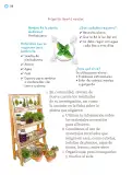 Miniatura página 251 de Proyectos Escolares.   Libro de Educación Primaria Grado 1°  Ciclo Escolar 2025 - 2026
