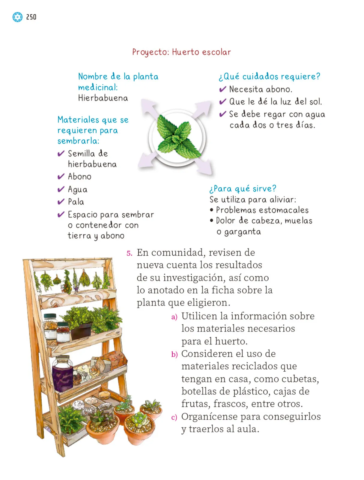 Miniatura página 251 de Proyectos Escolares.   Libro de Educación Primaria Grado 1°  Ciclo Escolar 2025 - 2026