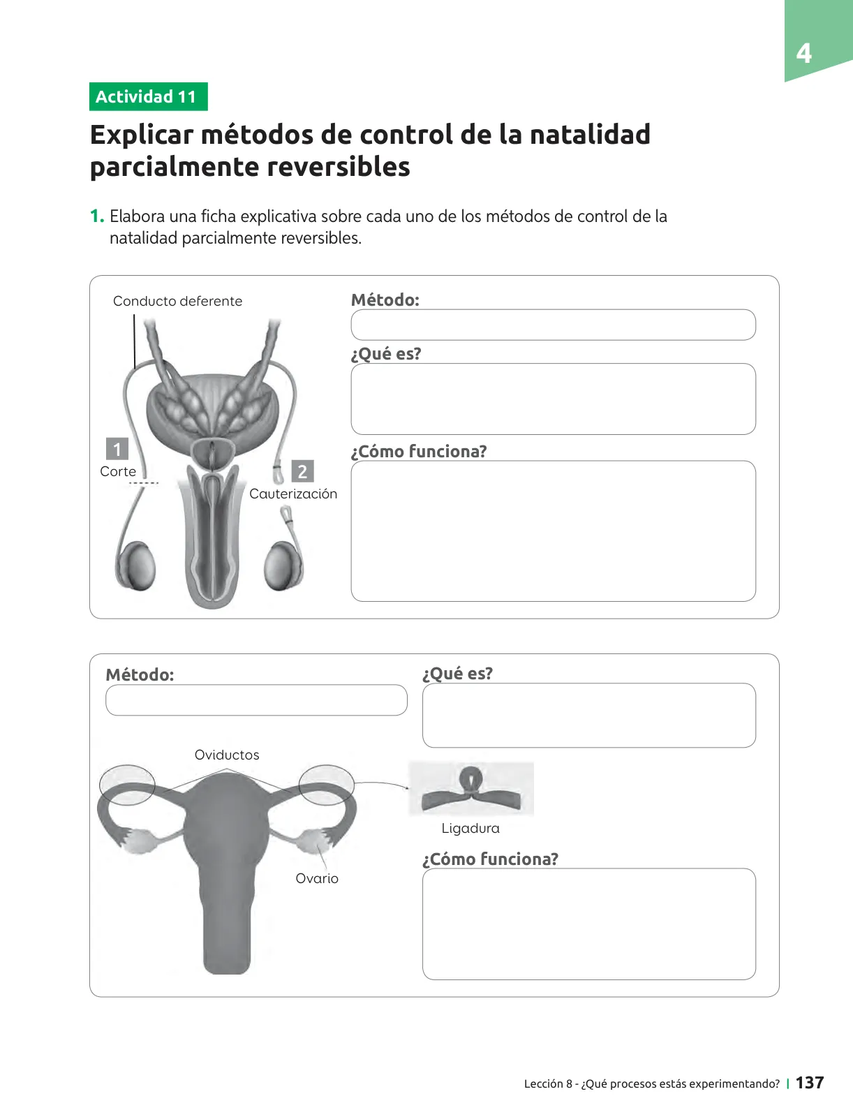 Página 138 de Ciencias Naturales – Séptimo Básico | Texto del Estudiante MINEDUC – Descargar PDF · 2024