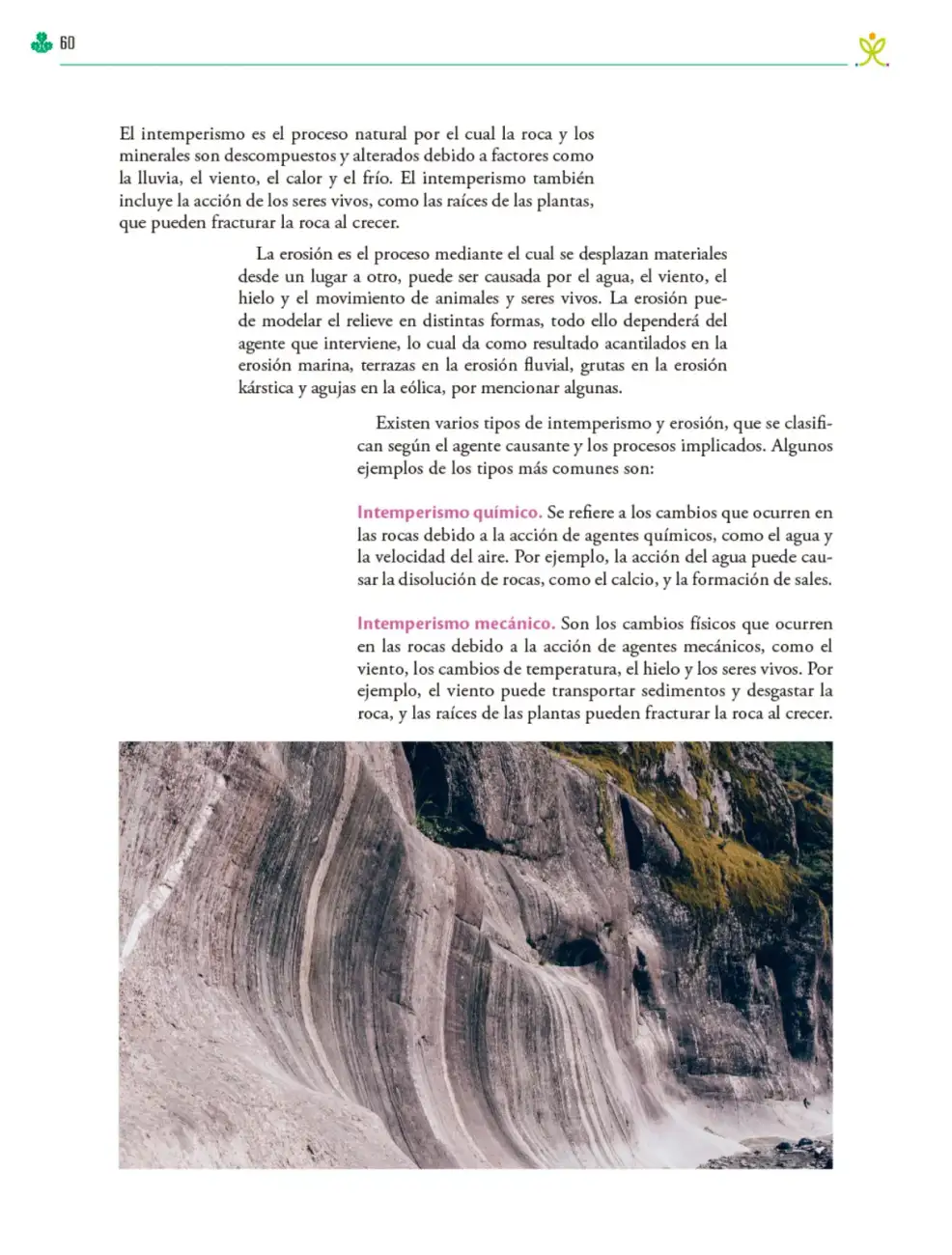 Página 61