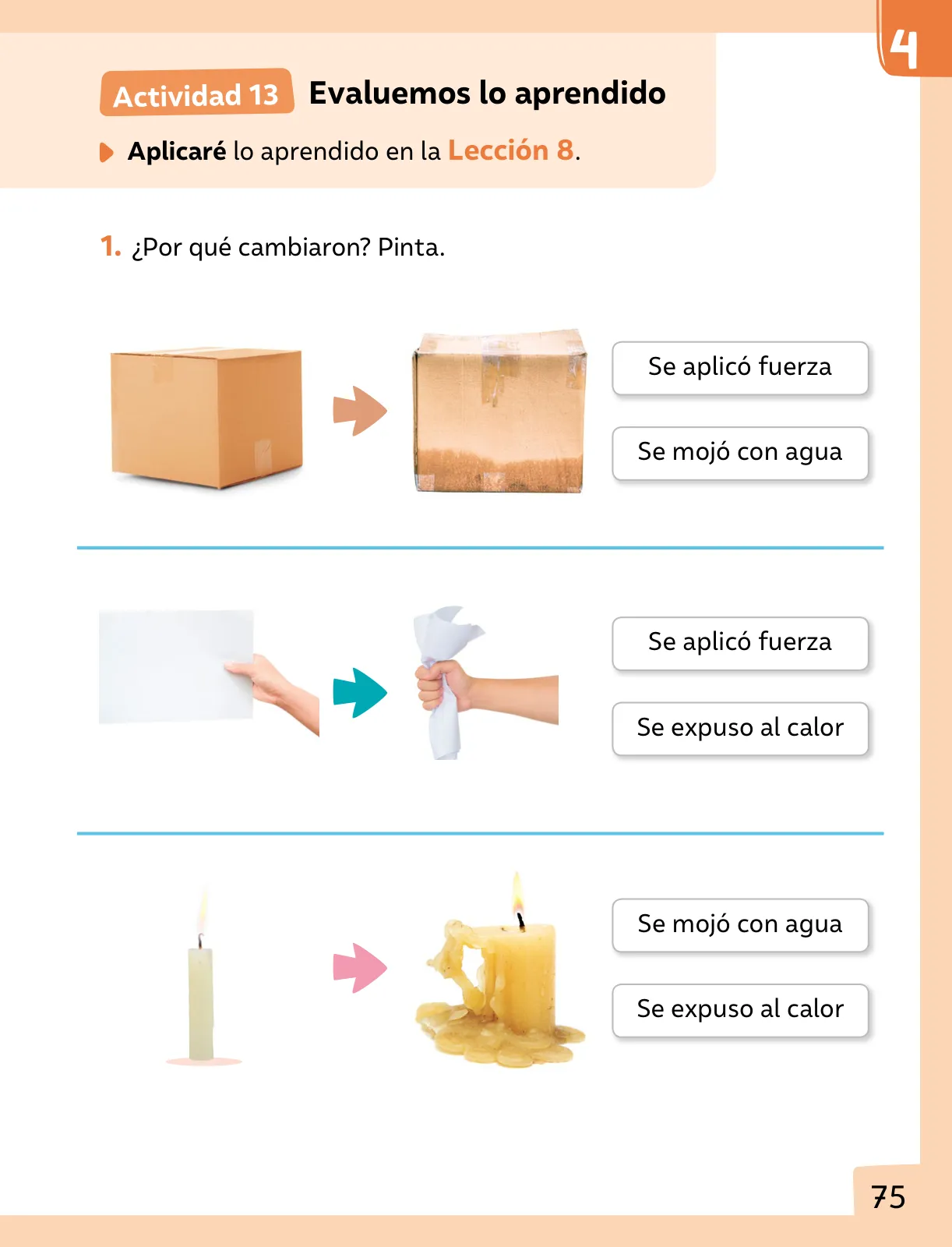 Miniatura página 76 de Ciencias Naturales – Primero Básico | Texto del Estudiante (MINEDUC) – Descargar PDF · 2024
