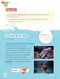 Miniatura página 180 de Lenguaje y Comunicación – Segundo Básico – Texto del Estudiante MINEDUC – Descargar PDF · 2024