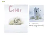 Miniatura página 35 de Múltiples lenguajes.   Libro de Educación Preescolar Grado 1°  Ciclo Escolar 2025 - 2026