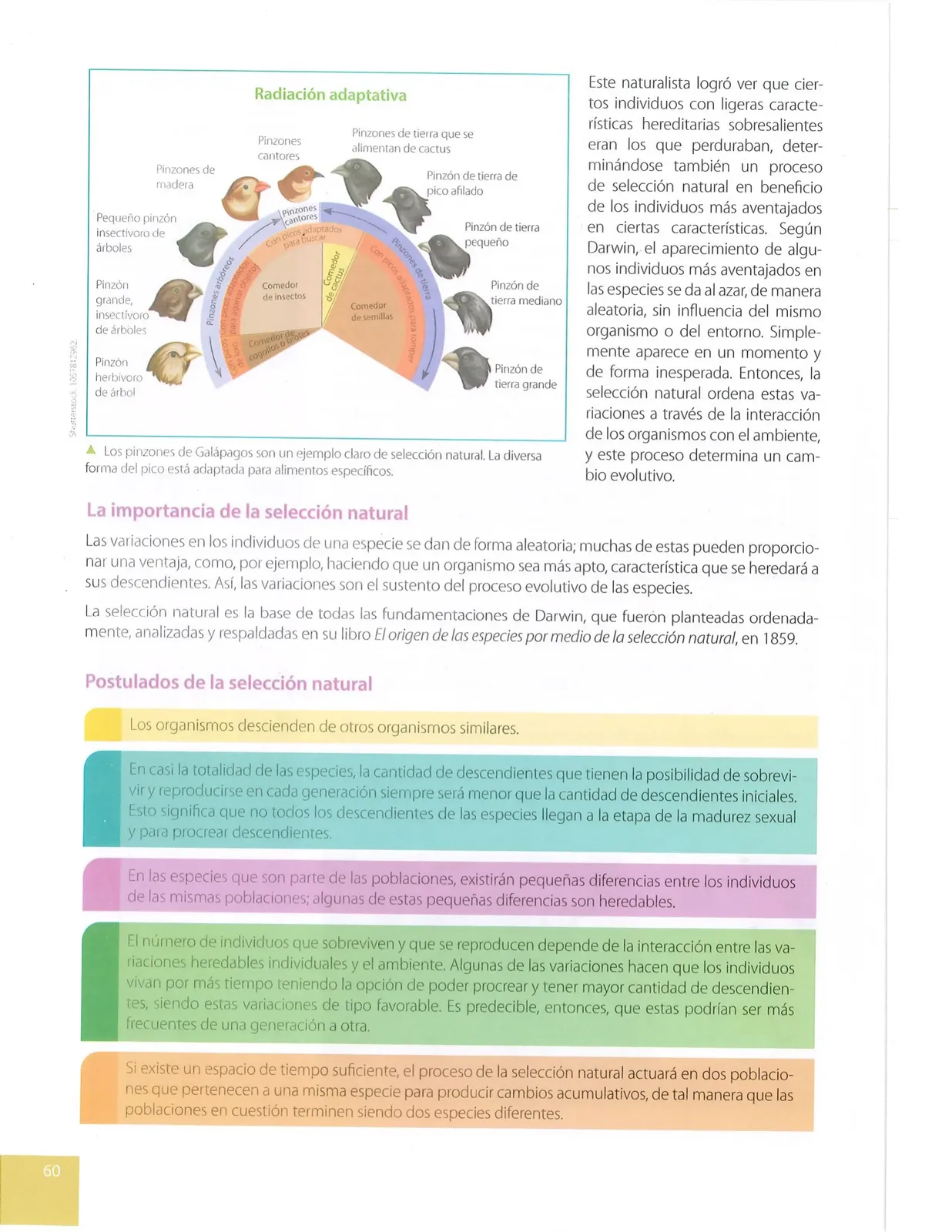 Página 57 de Ciencias Naturales · 10 EGB · 2024