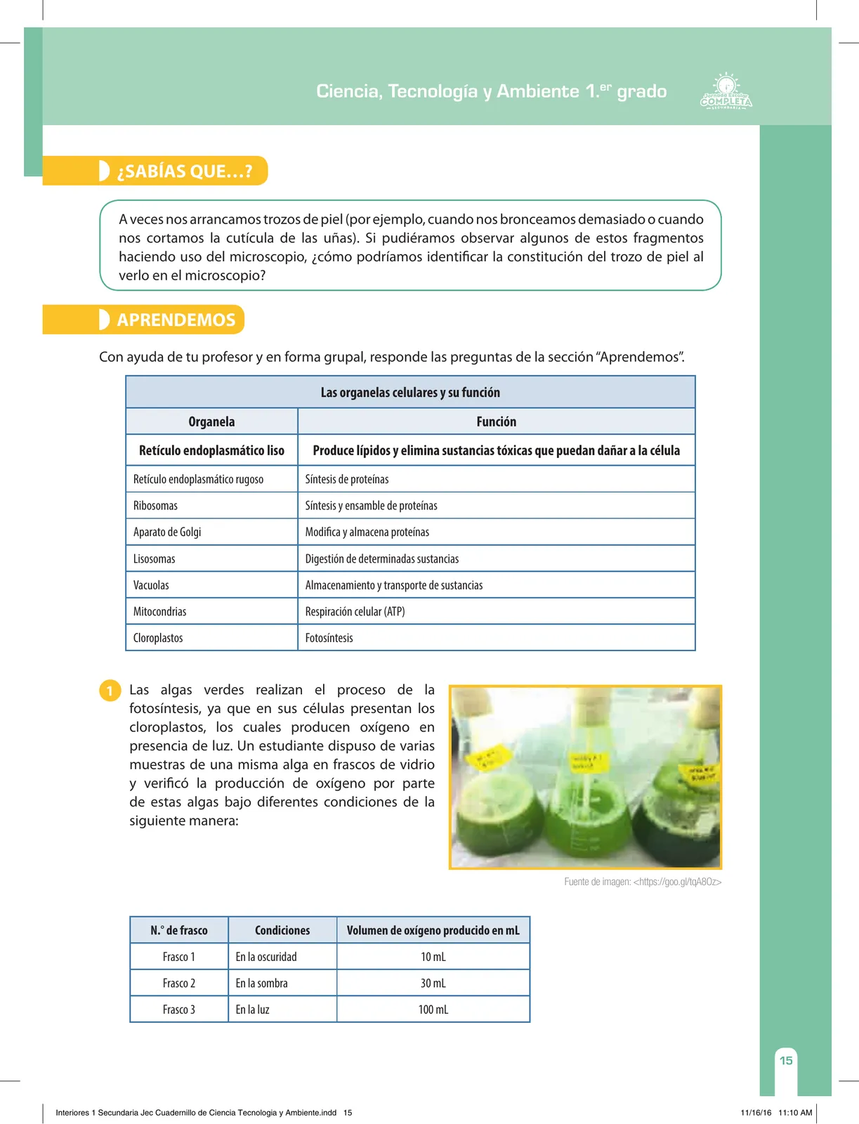 Página 15 de Ciencia, Tecnología y Ambiente 1. Cuaderno de reforzamiento pedagógico - JEC · 2016