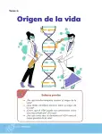 Pág 7