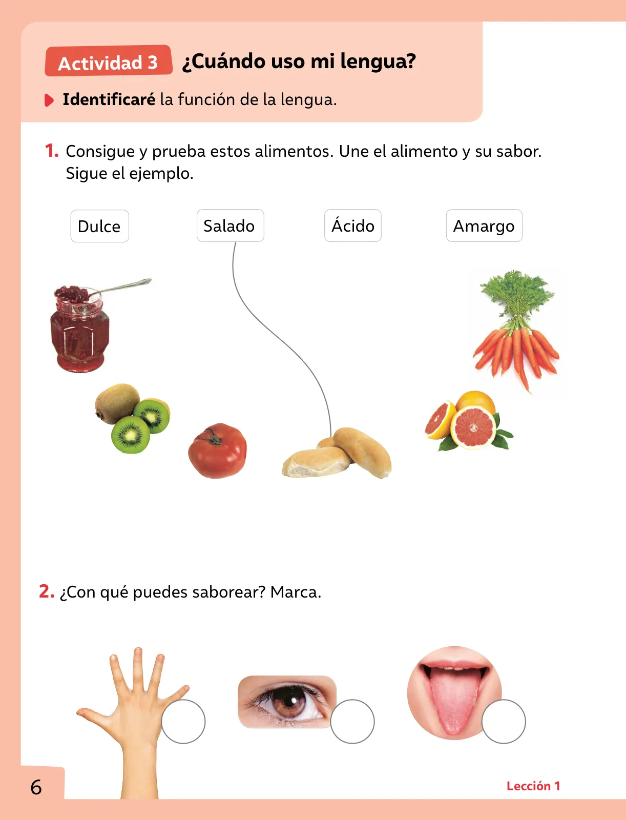 Miniatura página 7 de Ciencias Naturales – Primero Básico | Texto del Estudiante (MINEDUC) – Descargar PDF · 2024
