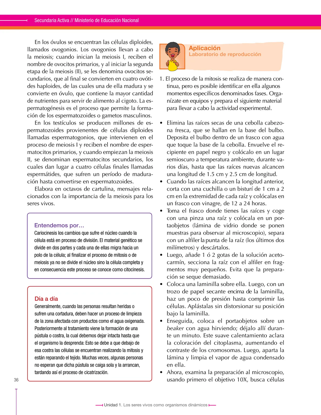 Página 36 de Ciencias Naturales 8° · Secundaria Activa