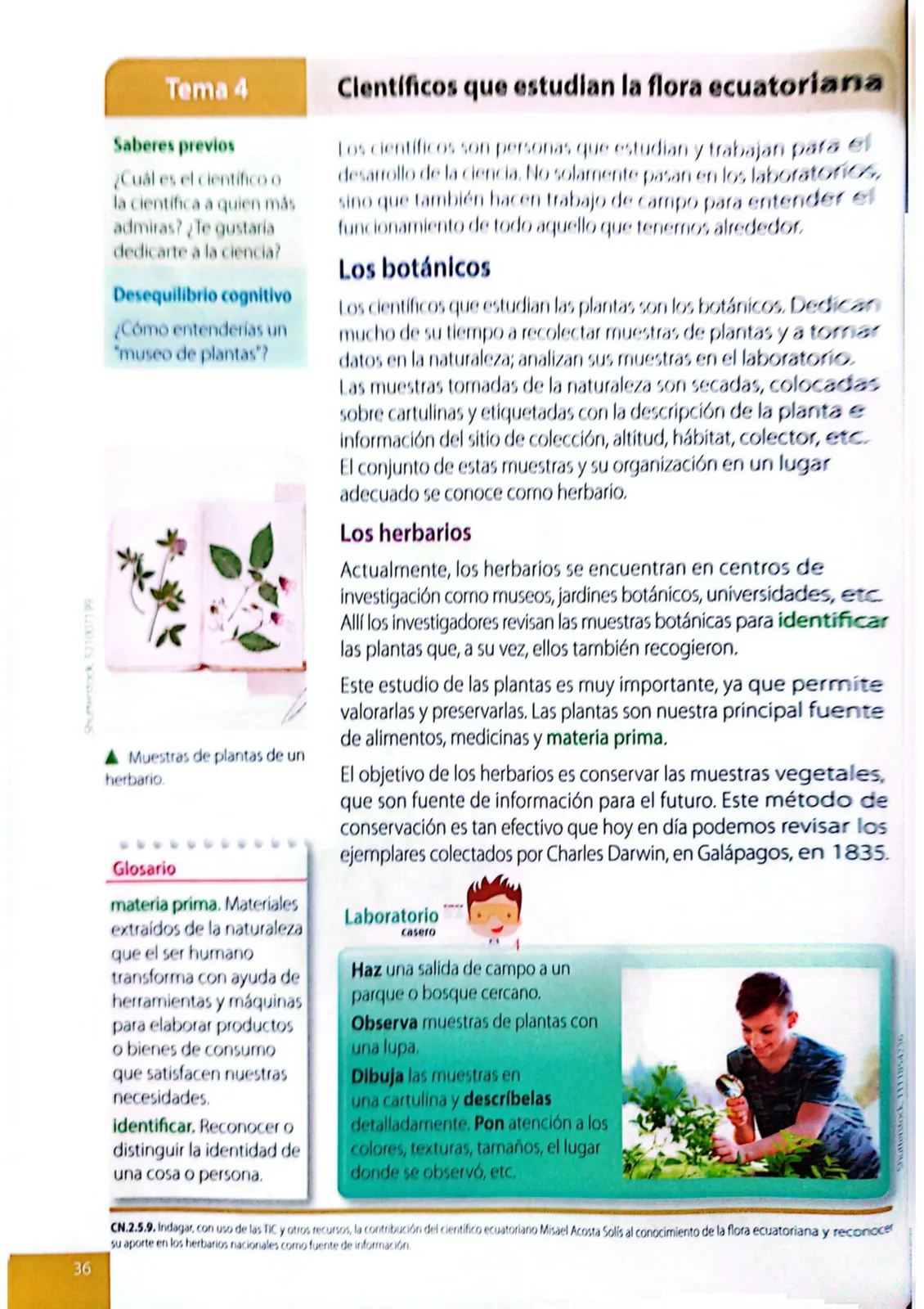 Página 33 de Ciencias Naturales · 4 EGB · 2025