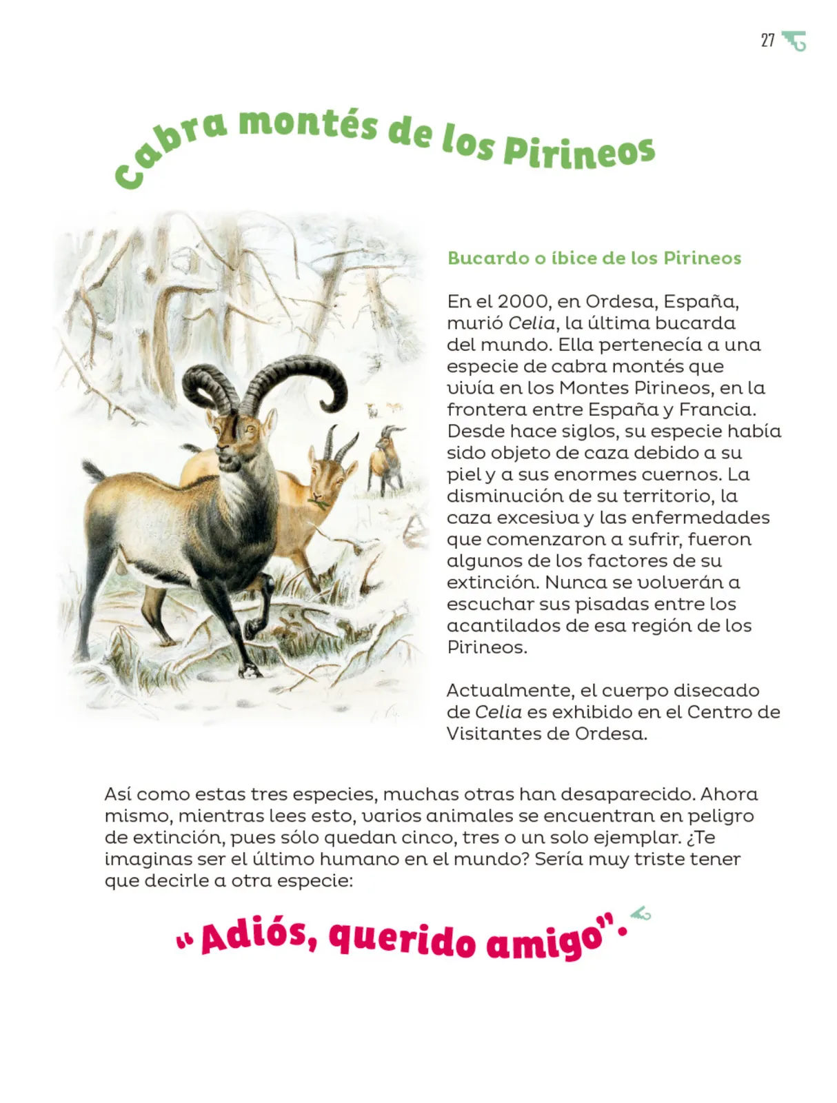 Miniatura página 28 de Múltiples lenguajes.   Libro de Educación Primaria Grado 5°  Ciclo Escolar 2025 - 2026
