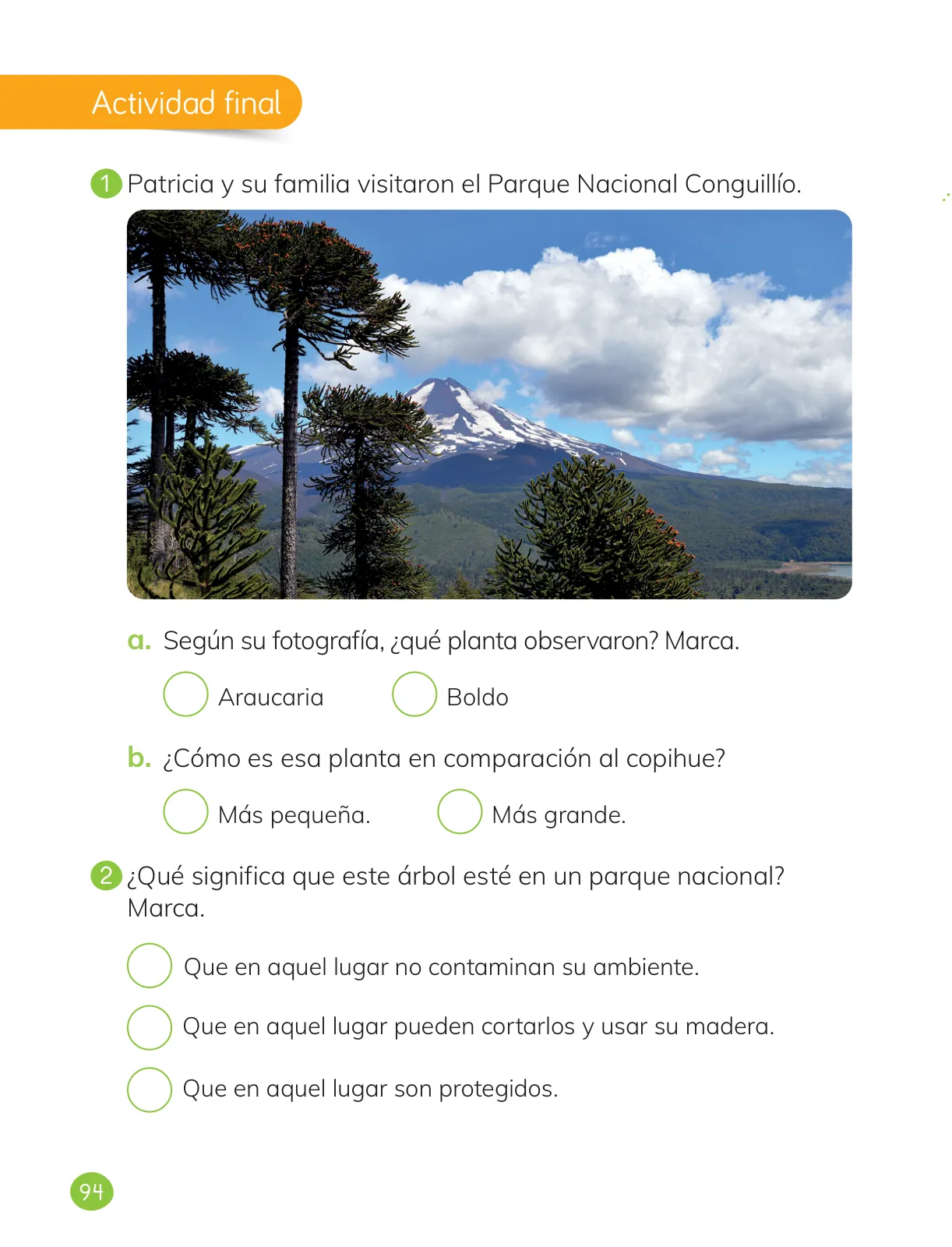 Miniatura página 96 de Ciencias Naturales – Primero Básico | Texto del Estudiante (MINEDUC) – Descargar PDF · 2024
