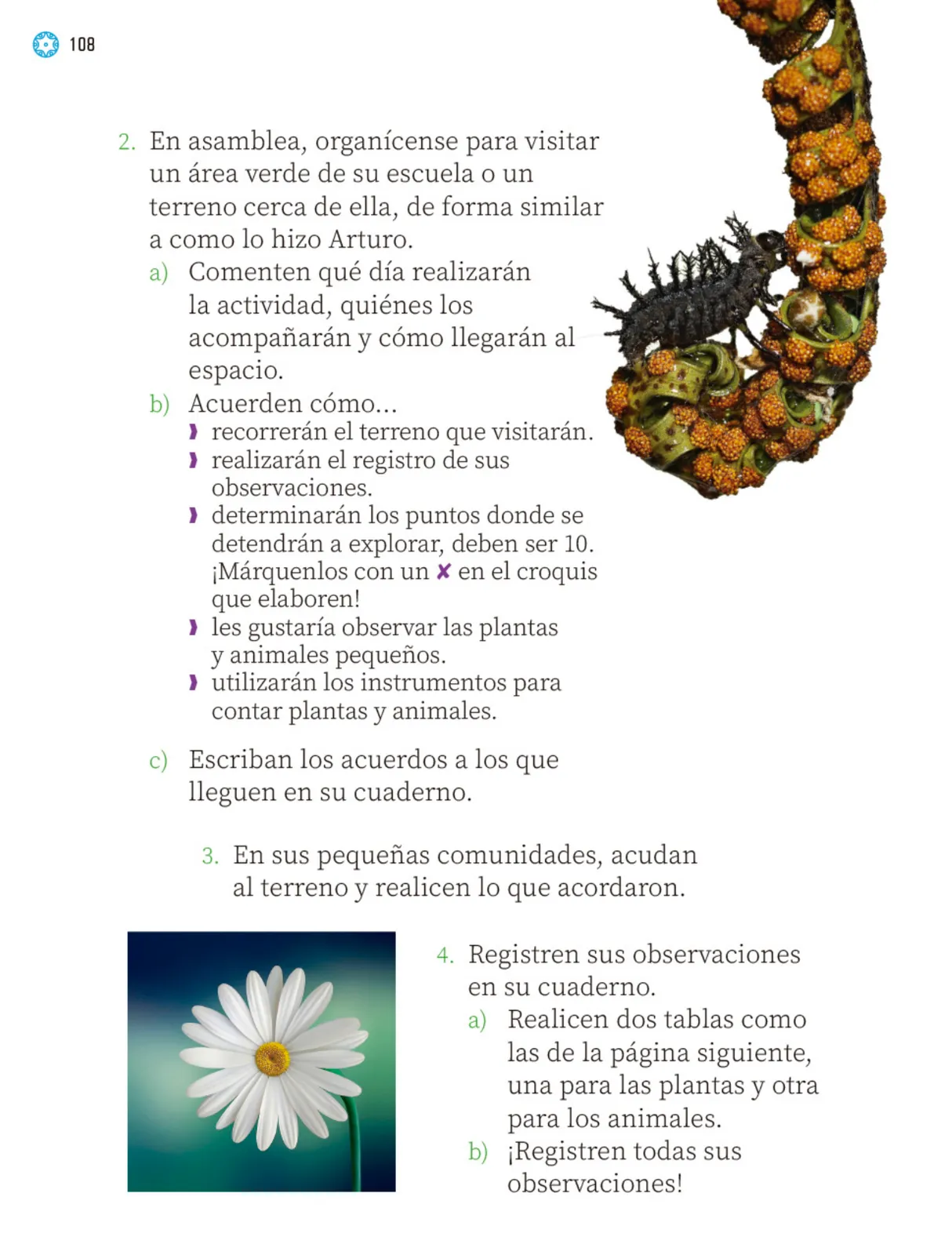 Página 111