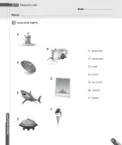 Miniatura página 133 de Inglés – Tercero Básico | Texto del Estudiante MINEDUC – Descargar PDF · 2024