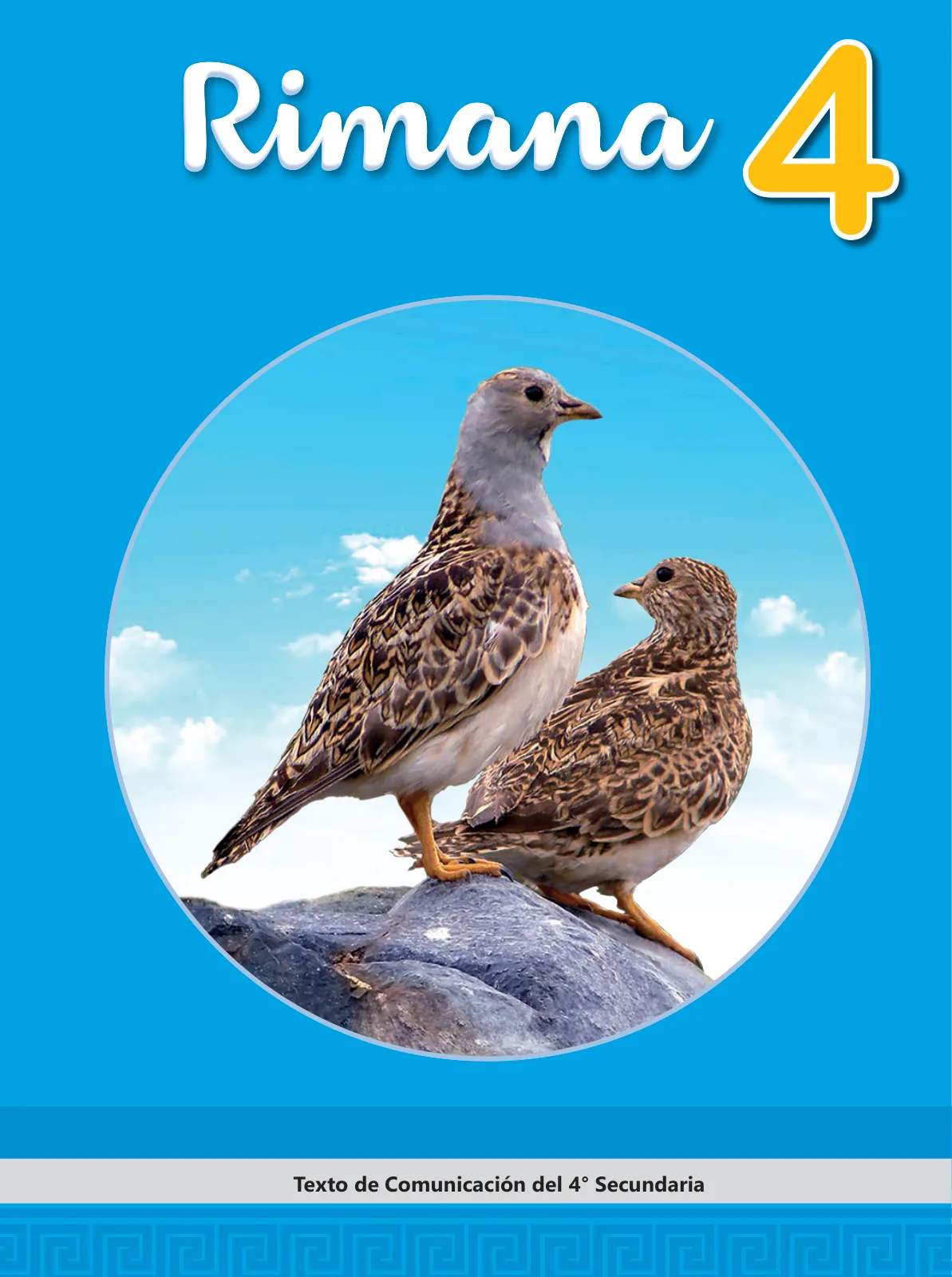 Pág 3
