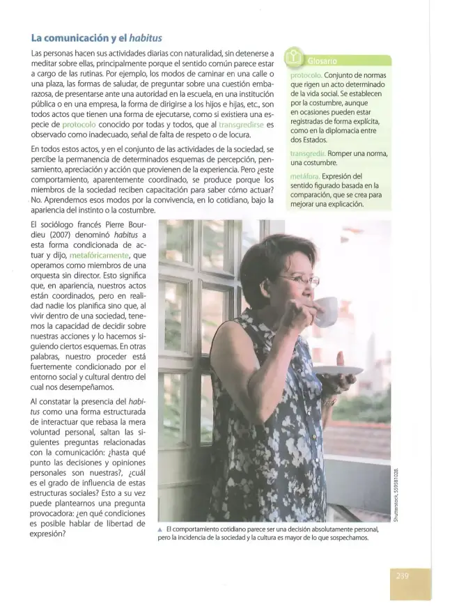 Página 238 de Estudios Sociales 10° · Egb 10 Estudios Sociales 2025 · 2025