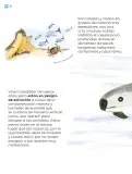 Miniatura página 23 de Múltiples lenguajes.   Libro de Educación Primaria Grado 2°  Ciclo Escolar 2025 - 2026