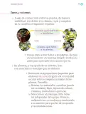 Miniatura página 78 de Proyectos Escolares.   Libro de Educación Primaria Grado 1°  Ciclo Escolar 2025 - 2026