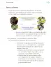 Miniatura página 78 de Proyectos Escolares.   Libro de Educación Primaria Grado 1°  Ciclo Escolar 2025 - 2026