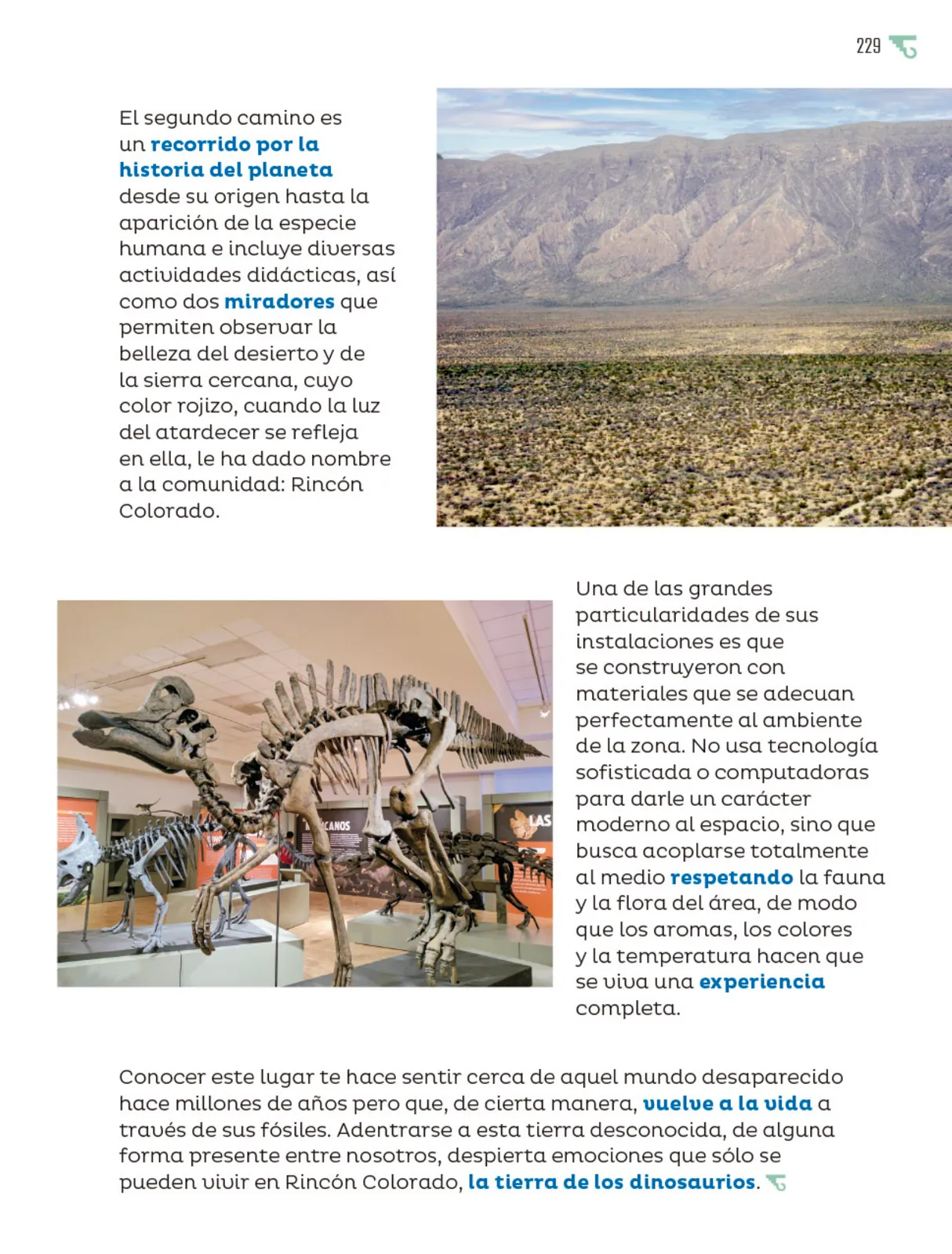 Página 230 de Múltiples lenguajes.   Libro de Educación Primaria Grado 6°  Ciclo Escolar 2025 - 2026