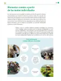 Miniatura página 236 de Colección Ximhai. De lo humano y lo comunitario.   Libro de Educación Telesecundaria Grado 1°  Ciclo Escolar 2025 - 2026