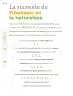 Miniatura página 97 de Múltiples lenguajes.   Libro de Educación Primaria Grado 4°  Ciclo Escolar 2025 - 2026