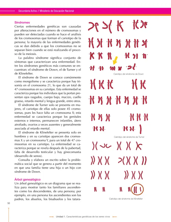 Página 50 de Ciencias Naturales 9° · Secundaria Activa