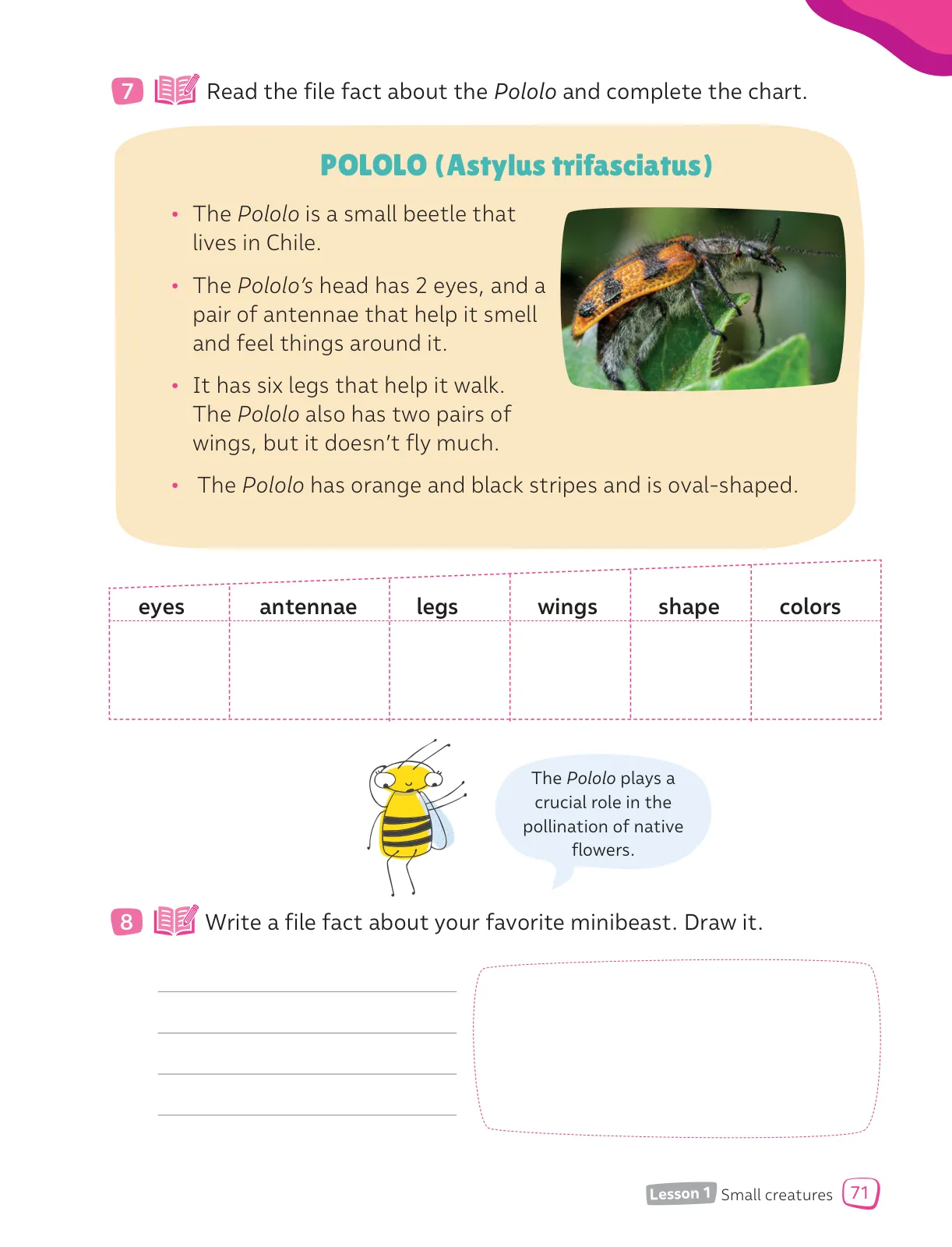 Miniatura página 73 de Inglés – Cuarto Básico | Texto del Estudiante MINEDUC – Descargar PDF · 2024