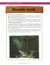 Miniatura página 186 de Ciencias Naturales 7° · Secundaria Activa