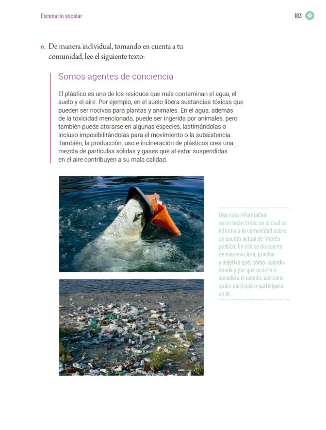 Página 186 de Proyectos Escolares. Libro de Educación Primaria Grado 5° Ciclo Escolar 2025 - 2026