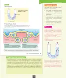 Miniatura página 118 de Ciencias Naturales – Octavo Básico | Texto del Estudiante MINEDUC – Descargar PDF · 2024