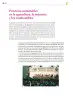 Miniatura página 305 de Colección Nanahuatzin. Saberes y pensamiento científico.   Libro de Educación Secundaria Grado 3°  Ciclo Escolar 2025 - 2026