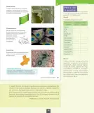 Miniatura página 100 de Ciencias Naturales – Octavo Básico | Texto del Estudiante MINEDUC – Descargar PDF · 2024