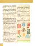 Miniatura página 58 de Lengua Y Literatura 10° · Egb 10 Lengua Y Literatura 2025 · 2025