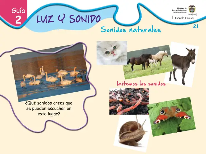 Página 21 de Ciencias Naturales · Fichas