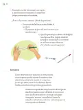 Miniatura página 25 de Proyectos de Aula.   Libro de Educación Primaria Grado 6°  Ciclo Escolar 2025 - 2026