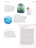 Miniatura página 110 de Nuestros saberes: Libro para alumnos, maestros y familia.   Libro de Educación Primaria Grado 4°  Ciclo Escolar 2025 - 2026