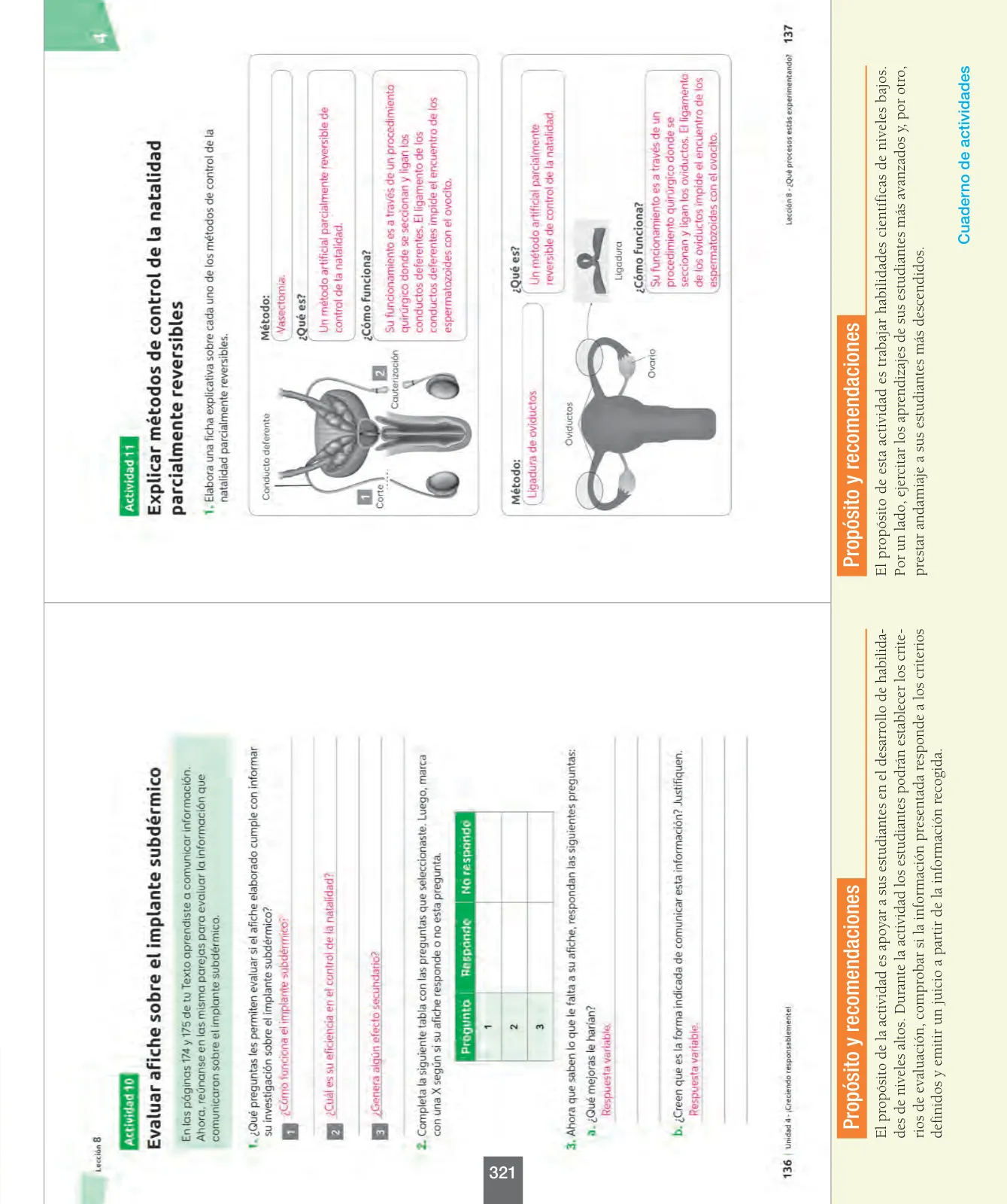 Página 146 de Ciencias Naturales – Séptimo Básico | Texto del Estudiante MINEDUC – Descargar PDF · 2024