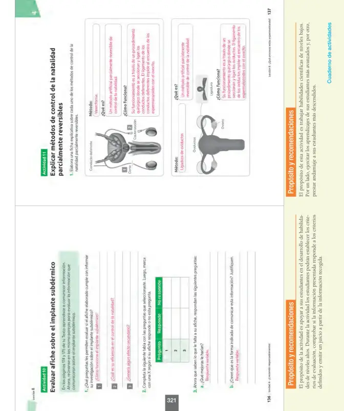 Página 146 de Ciencias Naturales – Séptimo Básico | Texto del Estudiante MINEDUC – Descargar PDF · 2024