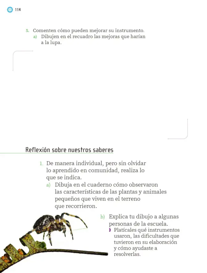 Página 117 de Proyectos Escolares. Libro de Educación Primaria Grado 2° Ciclo Escolar 2025 - 2026