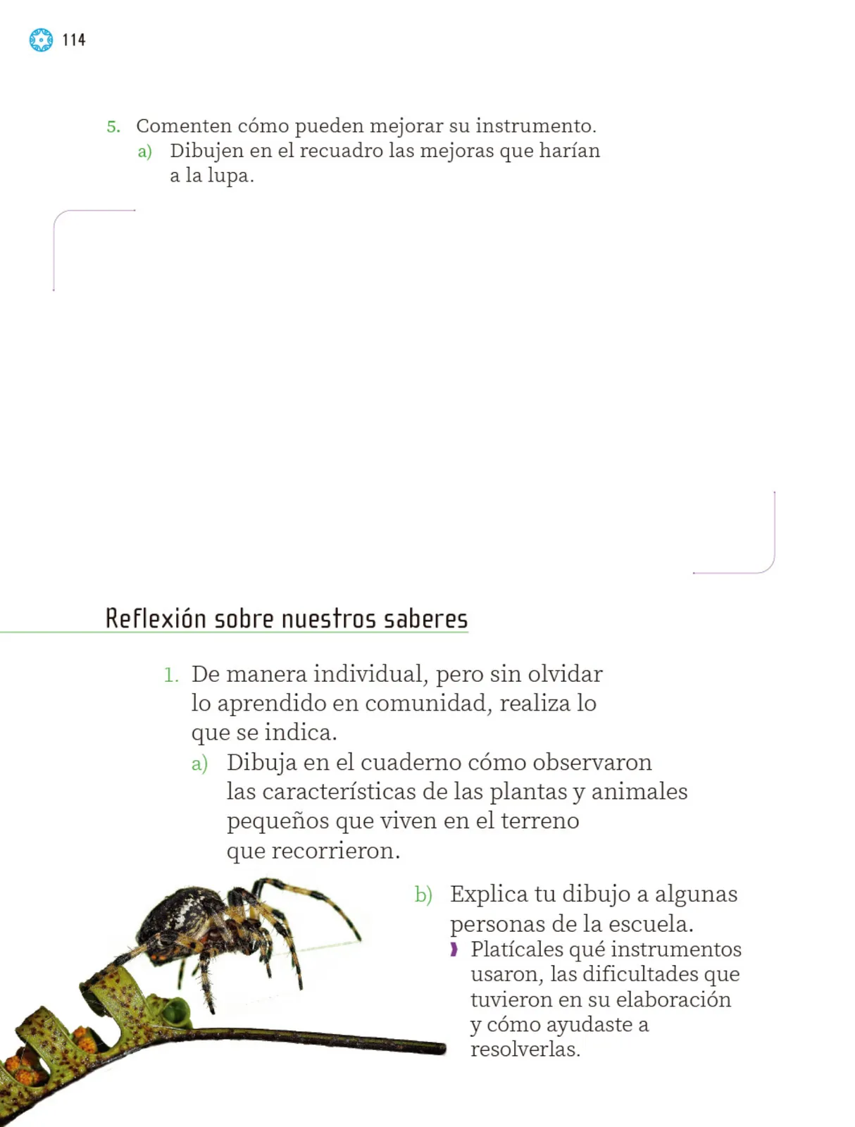Miniatura página 117 de Proyectos Escolares.   Libro de Educación Primaria Grado 2°  Ciclo Escolar 2025 - 2026