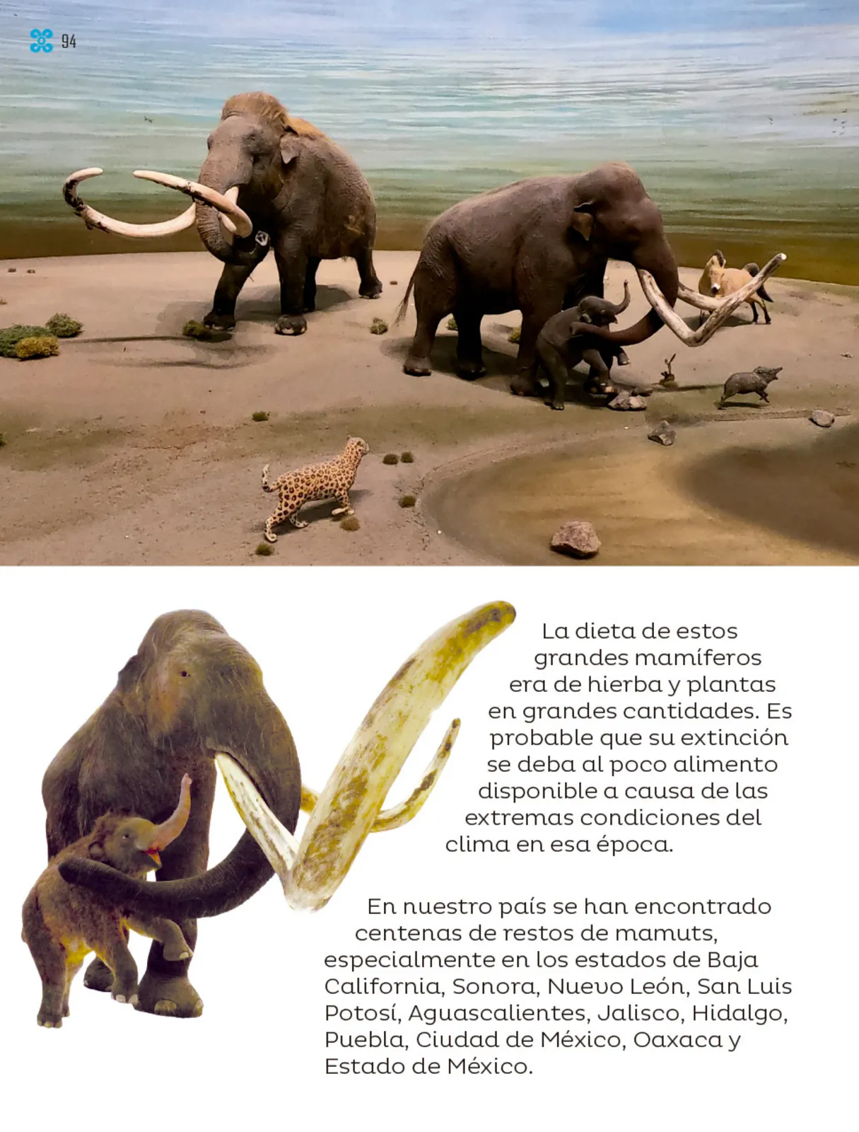 Pág 95