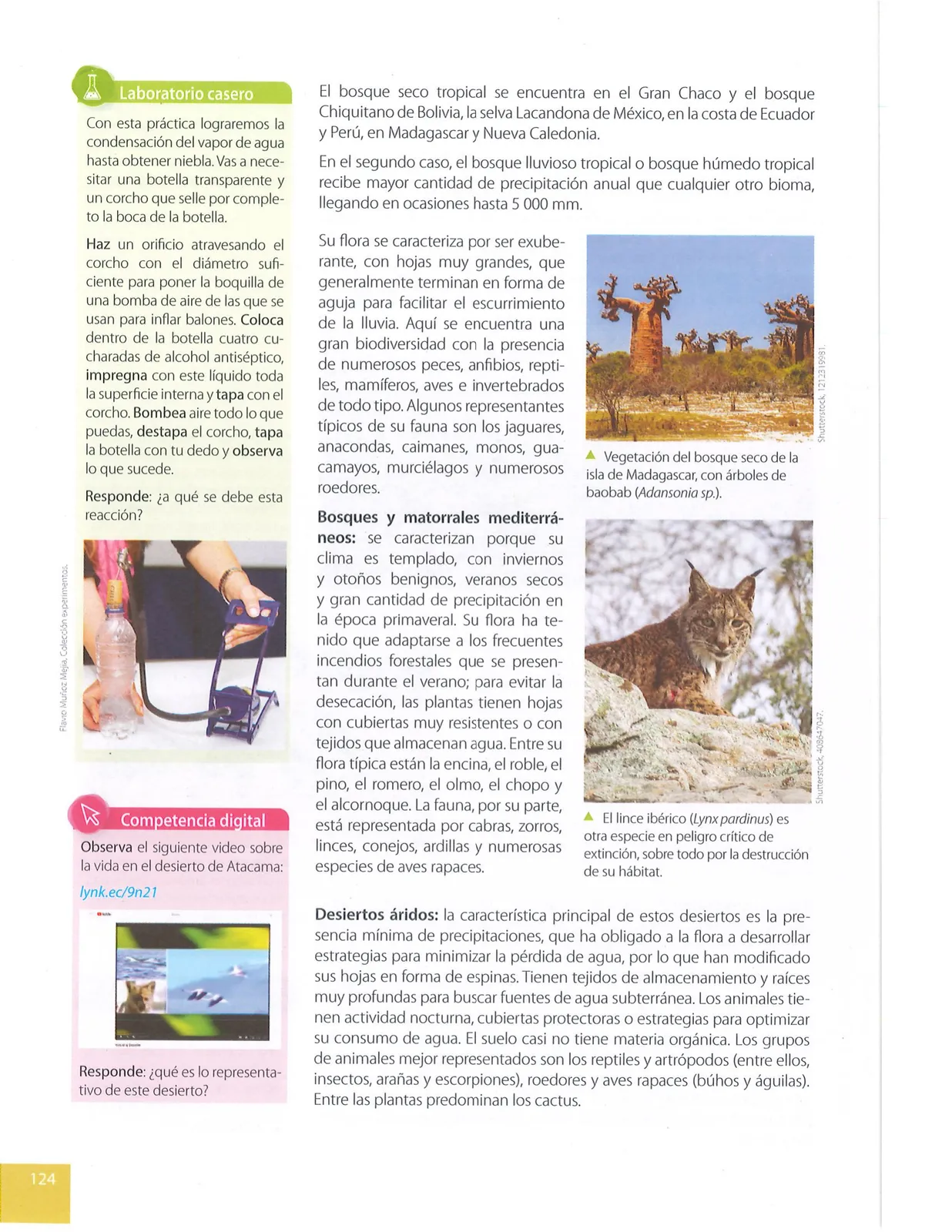 Página 125 de Ciencias Naturales · 9 EGB · 2024